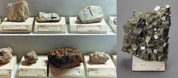 collezioni del Museo di Mineralogia